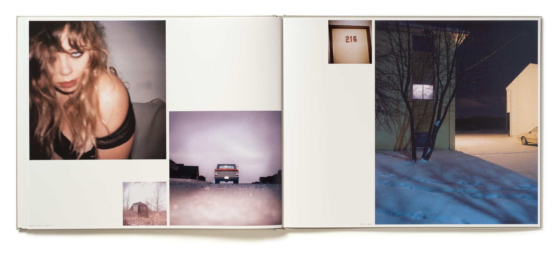 Todd Hido写真集 Excerpts from Silver Meadow-