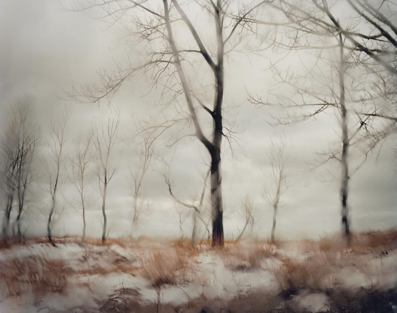 Todd Hido