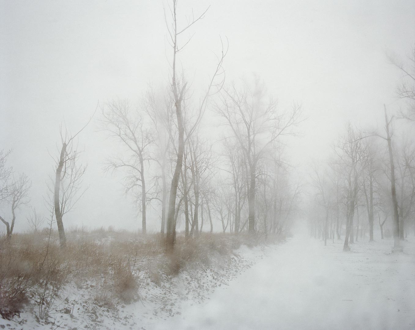 Todd Hido