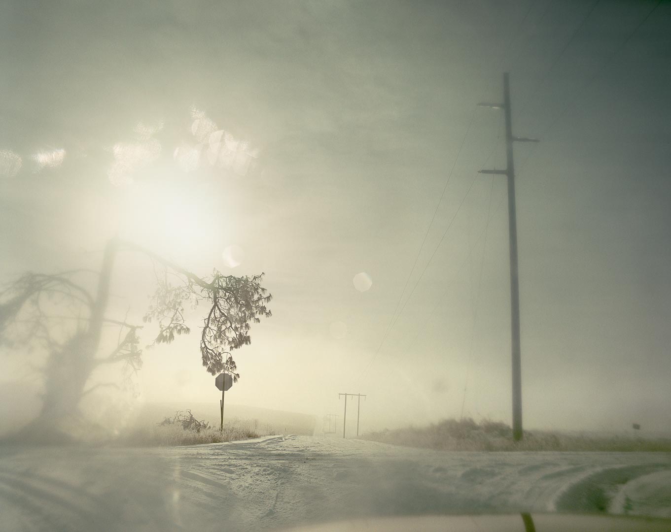 Todd Hido